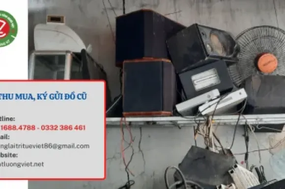 Dịch vụ & sản phẩm 