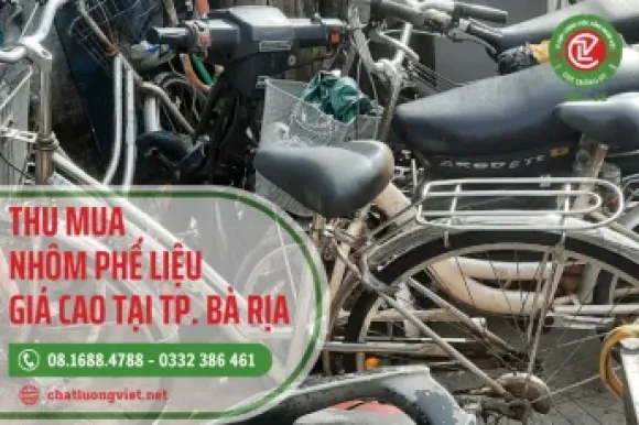 Dịch vụ & sản phẩm 