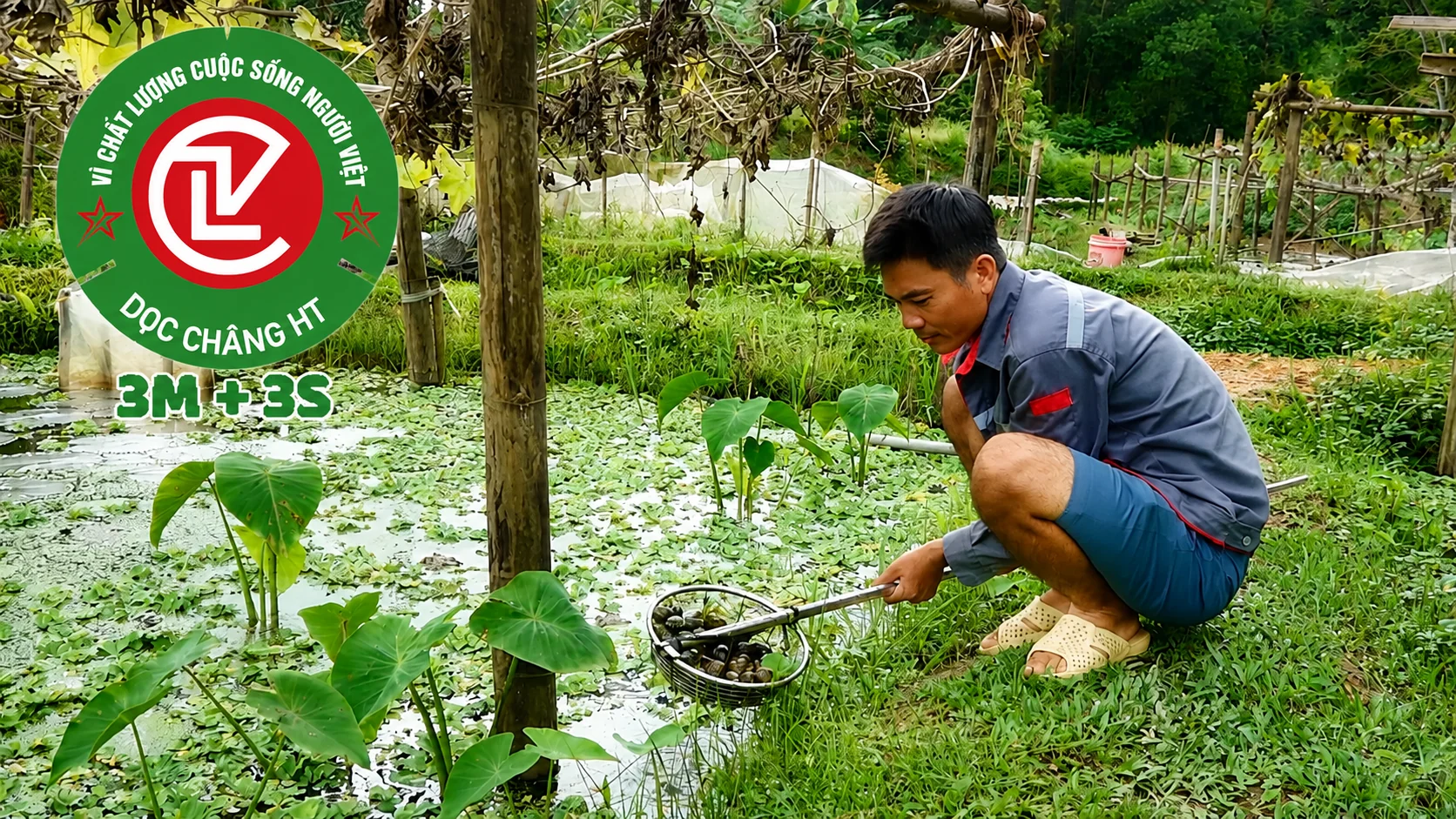 biến rác thành tiền